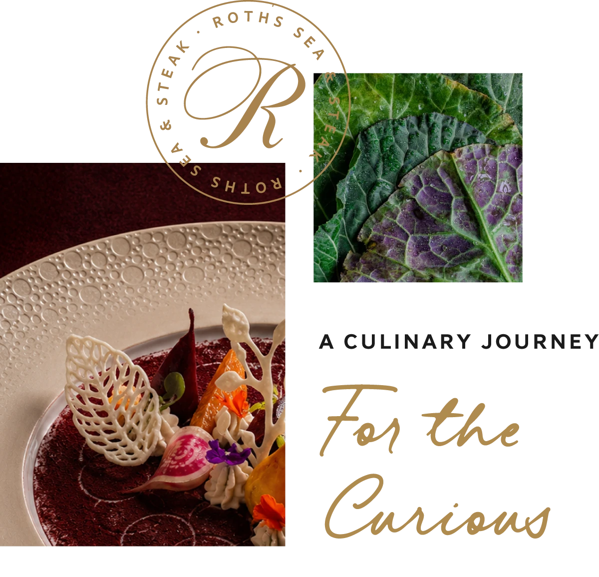 A Culinary Journey For the Curious
